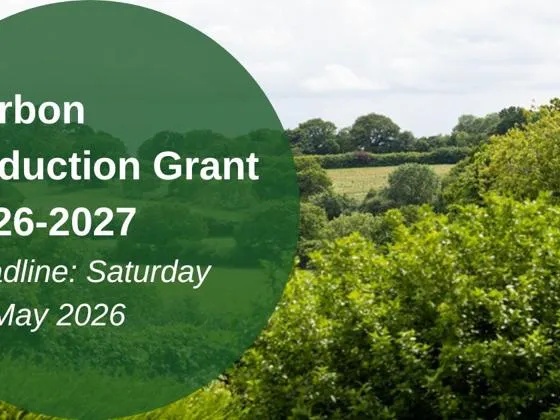 Carbon Reduction Grant scheme open for applications