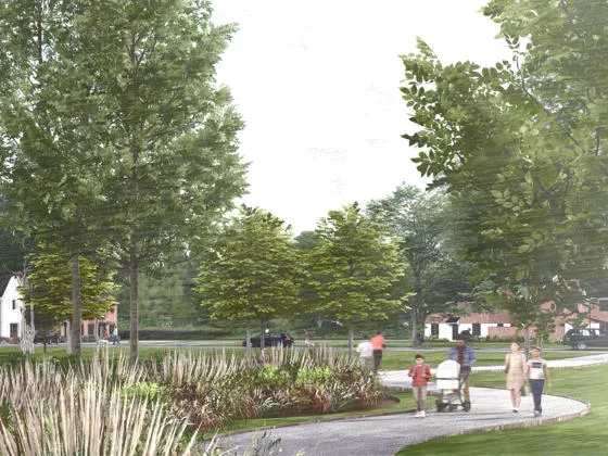 Concept illustration of a leafy development